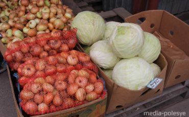 Фото использовано в качестве иллюстрации, из архива МП