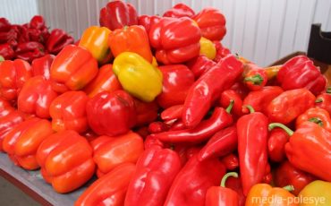 ФОто из архива МП