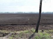 Снимок носит иллюстративный характер / Фото из архива Медиа-Полесья