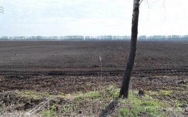 Снимок носит иллюстративный характер / Фото из архива Медиа-Полесья