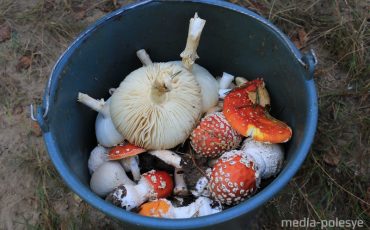 Фото иллюстративное