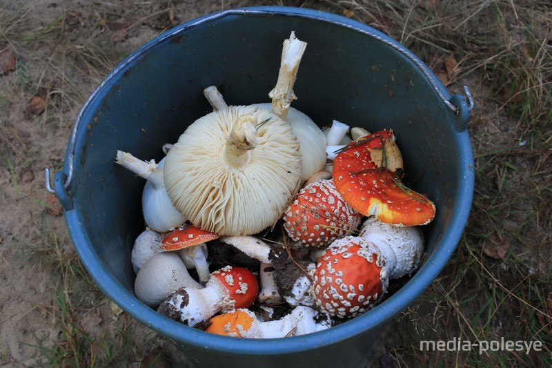 Фото иллюстративное