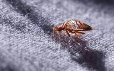 Снимок носит иллюстративный характер / Фото: flickr.com