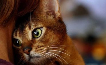 Снимок носит иллюстративный характер / Фото: cluber.com.ua