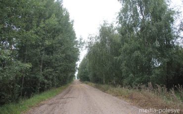 Снимок носит иллюстративный характер / Фото из архива Медиа-Полесья