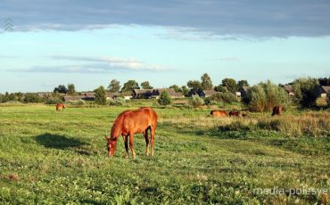 Фото иллюстрационное