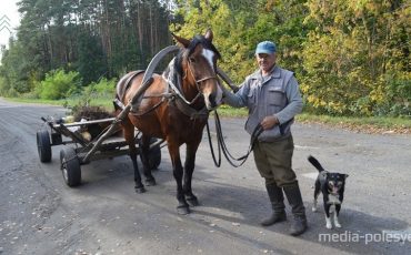 Последняя лошадь в деревне