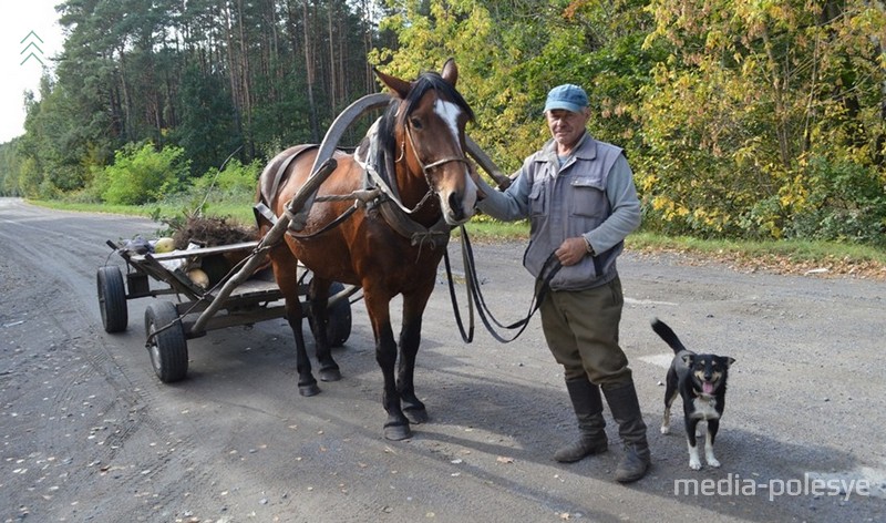 Последняя лошадь в деревне