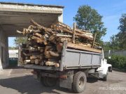 Снимок носит иллюстративный характер / Фото из архива Медиа-Полесья