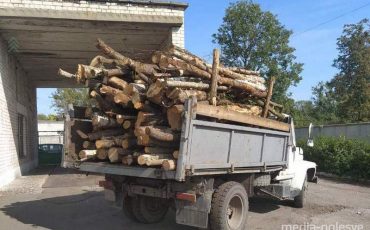 Снимок носит иллюстративный характер / Фото из архива Медиа-Полесья