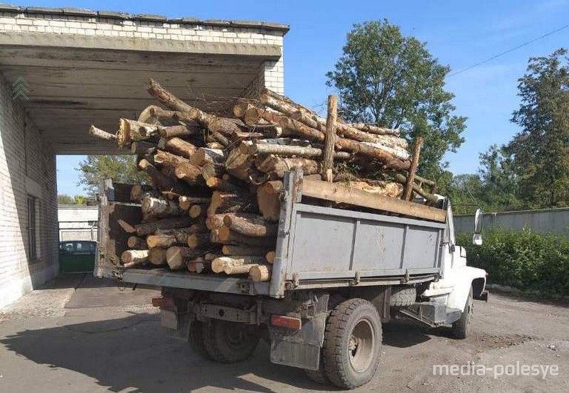 Снимок носит иллюстративный характер / Фото из архива Медиа-Полесья