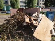 Жильцы сваливают хлам и мимо контейнеров