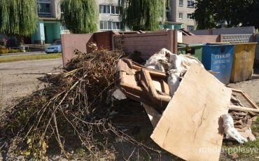 Жильцы сваливают хлам и мимо контейнеров