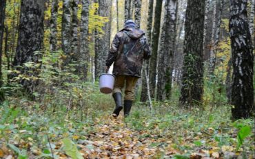 Фото иллюстративное/ Фото 40.mchs.gov.ru