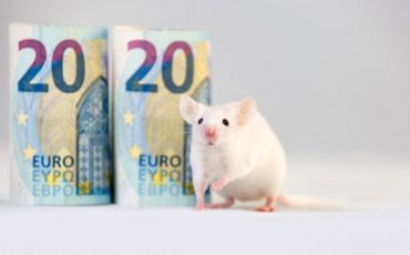 Снимок носит иллюстративный характер / Фото: pixabay.com