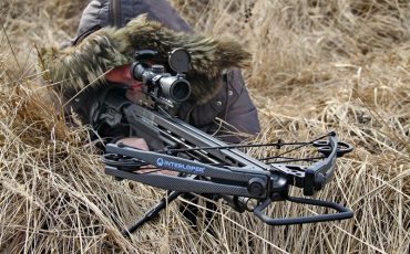 Фото иллюстрационное baza-yakor.ru