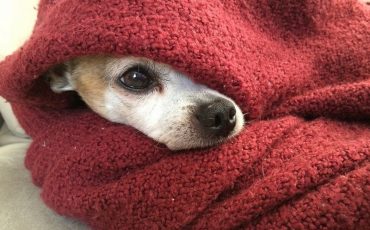 Снимок носит иллюстративный характер / Фото: pixabay.com