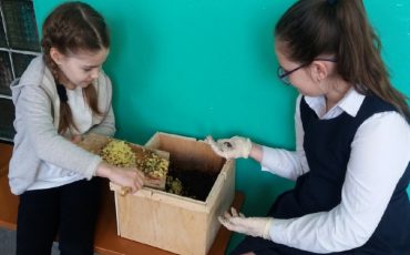 Фото: ГУО «Средняя школа №3»