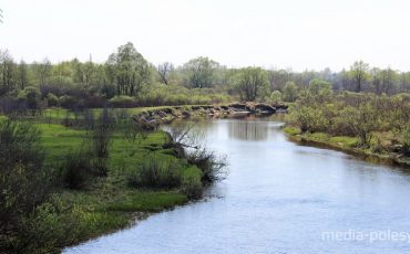 Снимок носит иллюстративный характер / Фото из архива Медиа-Полесья