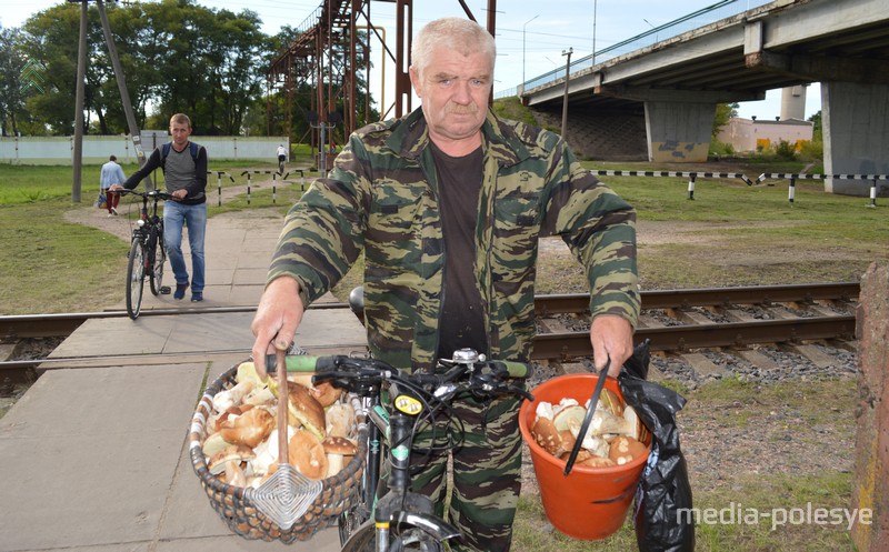 Василий Дубина насобирал кош и ведро боровиков не отъезжая далеко от Лунинца