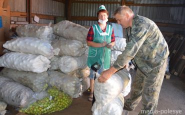 Заготовка яблок продолжается, но уже угасает