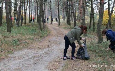 Фото иллюстрационное из архива Медиа-Полесья