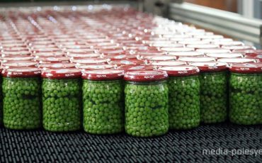 Фото иллюстрационное