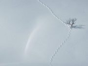 Снимок носит иллюстративный характер / Фото: Kenneth Rivenes