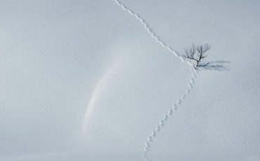 Снимок носит иллюстративный характер / Фото: Kenneth Rivenes