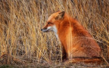 Фото иллюстрационное goodfon.ru