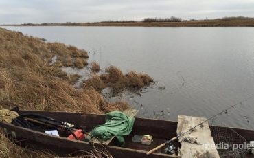 Фото иллюстрационное / Автор: Василий Мацкевич