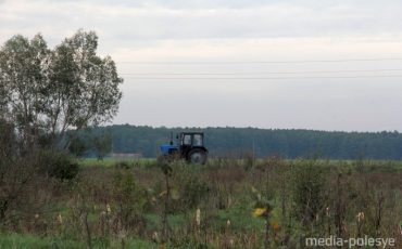 Снимок носит иллюстративный характер / Фото из архива МП