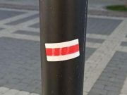 Фото из соцсетей