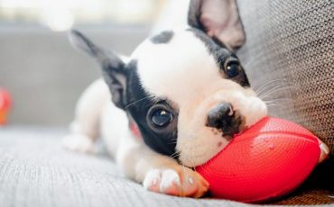 Снимок носит иллюстративный характер / Фото: MAXXSIPHOTO / Shutterstock