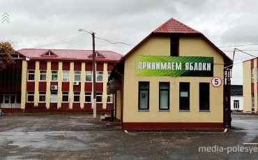 Фото иллюстрационное