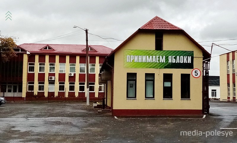 Фото иллюстрационное