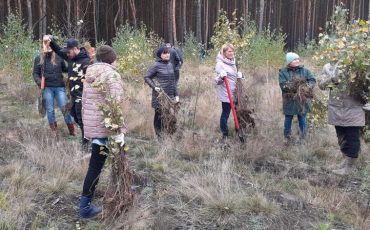 Фото Пинского лесхоза