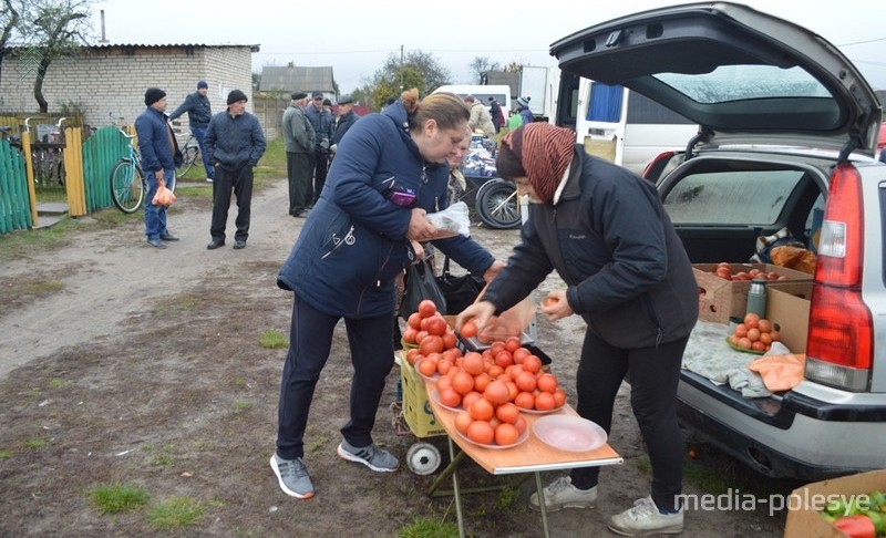 Помидоры по 2 рубля. Поменьше по полтора