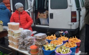 Лисички, квашения, мёд, орехи, фасоль...