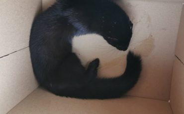 Фото Пинский райисполком