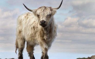 Снимок носит иллюстративный характер / Фото: joinfo.ua