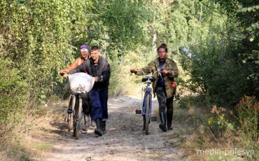 Фото иллюстрационное