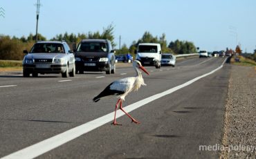 Фото иллюстрационное