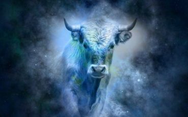 Снимок носит иллюстративный характер / Фото: pixabay.com