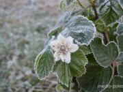 Фото из архива МП