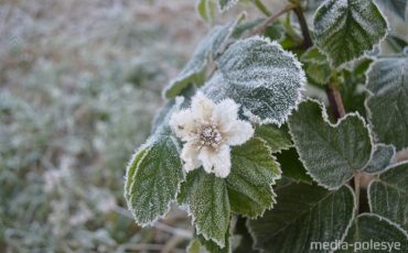 Фото из архива МП