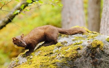 Фото иллюстрационное, tursar.ru