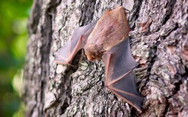 Снимок носит иллюстративный характер / Фото: pixabay.com