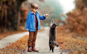 Снимок носит иллюстративный характер / Фото: vk.com/lifehack_for_photographer