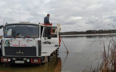 Фото использовано в качестве иллюстрации